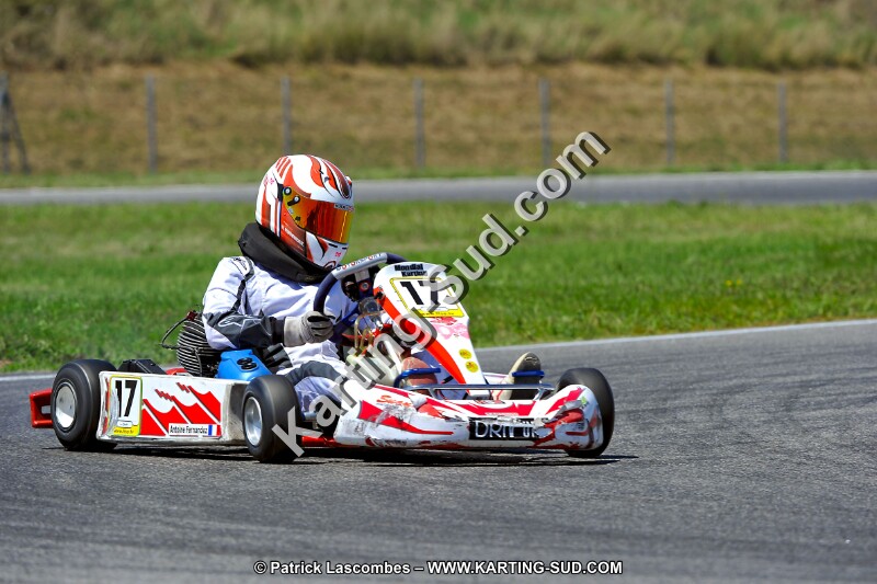 DSC_ (1484).jpg